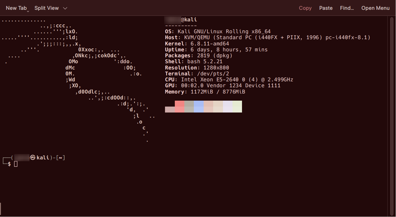 A picture showing connecting to Kali Linux Attackbox